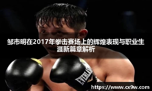 邹市明在2017年拳击赛场上的辉煌表现与职业生涯新篇章解析