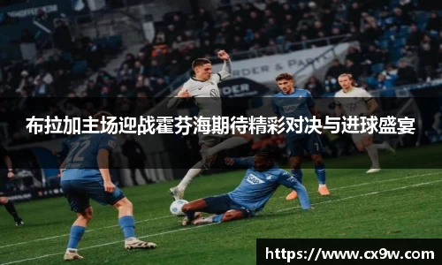 星空综合体育